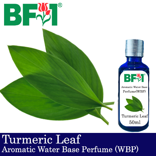 Aromatic Water Base Perfume (WBP) - Turmeric Leaf - 50ml Diffuser Perfume