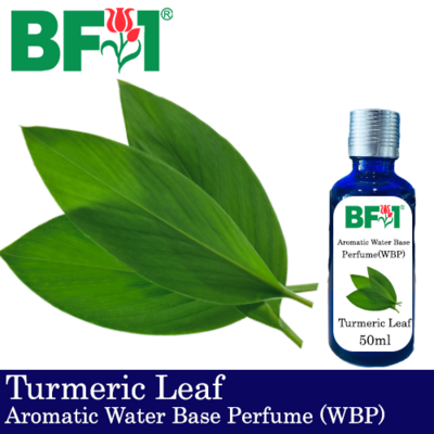 Aromatic Water Base Perfume (WBP) - Turmeric Leaf - 50ml Diffuser Perfume