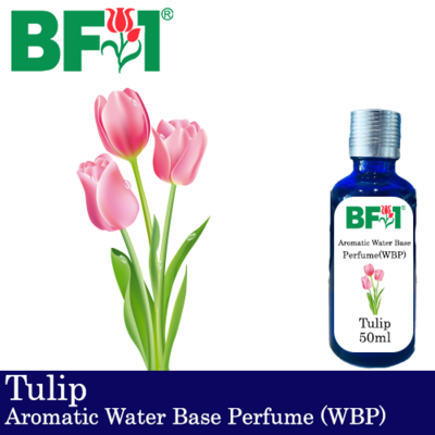 Aromatic Water Base Perfume (WBP) - Tulip - 50ml Diffuser Perfume