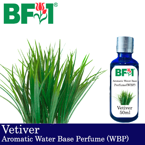 Aromatic Water Base Perfume (WBP) - Vetiver - 50ml Diffuser Perfume