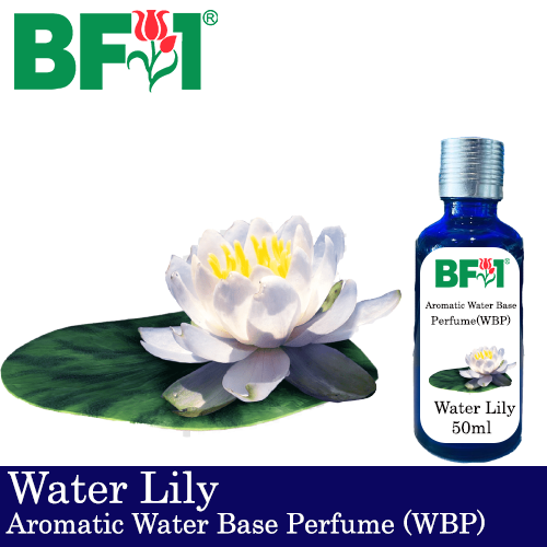 Aromatic Water Base Perfume (WBP) - Water Lily - 50ml Diffuser Perfume