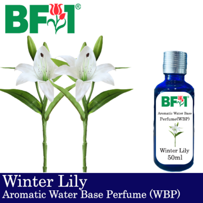 Aromatic Water Base Perfume (WBP) - Winter Lily - 50ml Diffuser Perfume