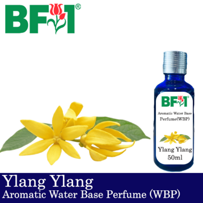Aromatic Water Base Perfume (WBP) - Ylang Ylang - 50ml Diffuser Perfume