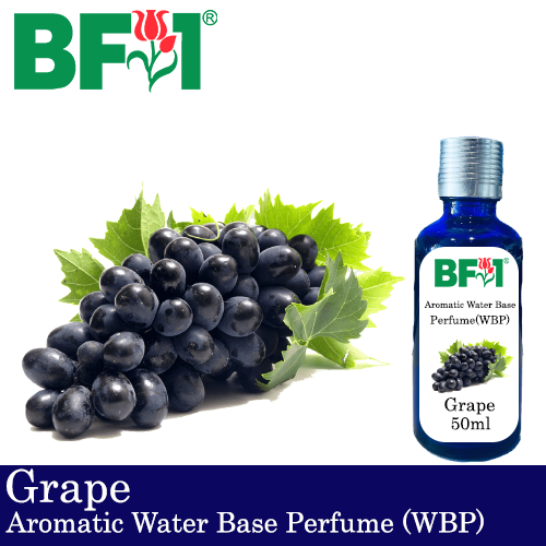 Aromatic Water Base Perfume (WBP) - Grape - 50ml Diffuser Perfume