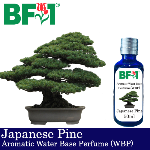 Aromatic Water Base Perfume (WBP) - Japanese Pine- 50ml Diffuser Perfume
