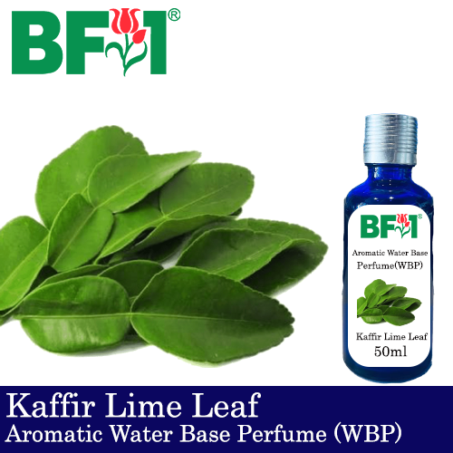 Aromatic Water Base Perfume (WBP) - Kaffir Lime Leaf - 50ml Diffuser Perfume