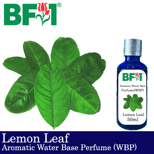 Aromatic Water Base Perfume (WBP) - Lemon Leaf - 50ml Diffuser Perfume