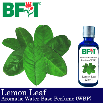 Aromatic Water Base Perfume (WBP) - Lemon Leaf - 50ml Diffuser Perfume
