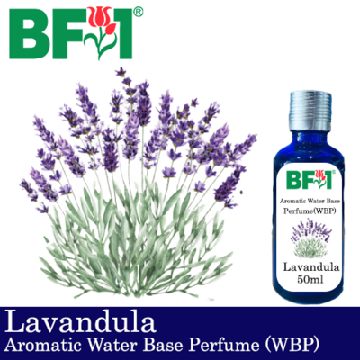 Aromatic Water Base Perfume (WBP) - Lavandula - 50ml Diffuser Perfume