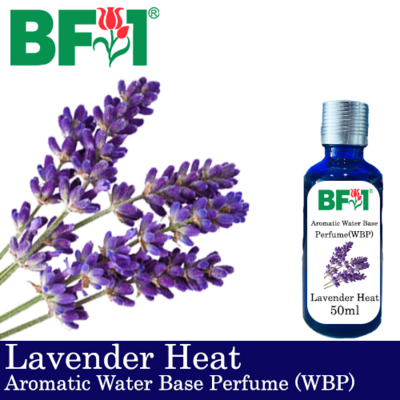 Aromatic Water Base Perfume (WBP) - Lavender Heat - 50ml Diffuser Perfume