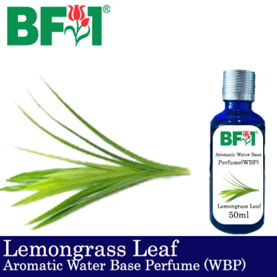 Aromatic Water Base Perfume (WBP) - Lemongrass Leaf - 50ml Diffuser Perfume