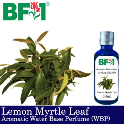 Aromatic Water Base Perfume (WBP) - Lemon Myrtle Leaf - 50ml Diffuser Perfume