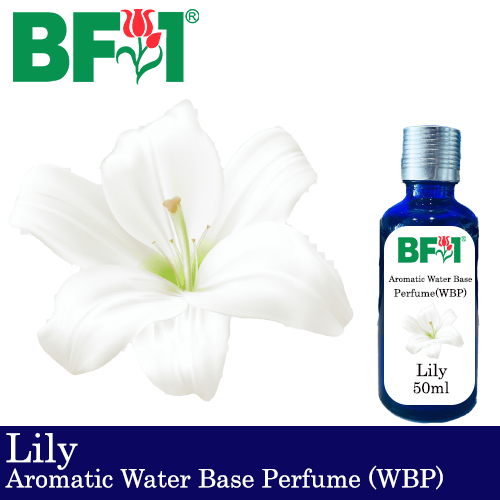Aromatic Water Base Perfume (WBP) - Lily - 50ml Diffuser Perfume
