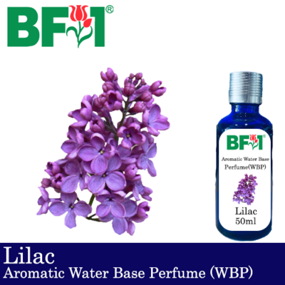 Aromatic Water Base Perfume (WBP) - Lilac - 50ml Diffuser Perfume