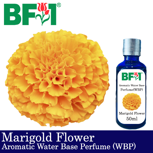 Aromatic Water Base Perfume (WBP) - Marigold Flower - 50ml Diffuser Perfume