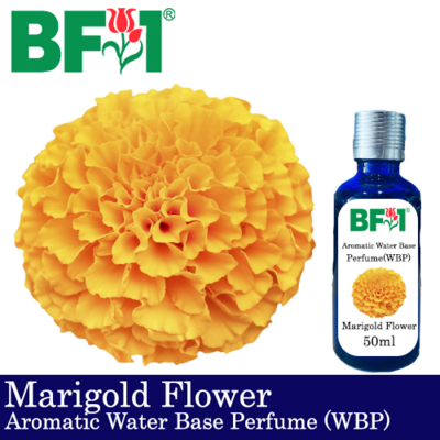 Aromatic Water Base Perfume (WBP) - Marigold Flower - 50ml Diffuser Perfume