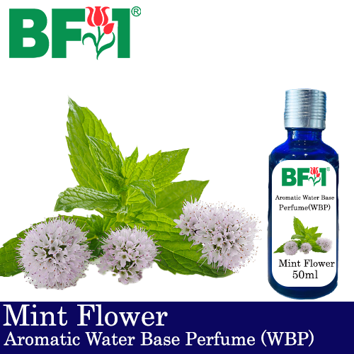 Aromatic Water Base Perfume (WBP) - Mint Flower - 50ml Diffuser Perfume