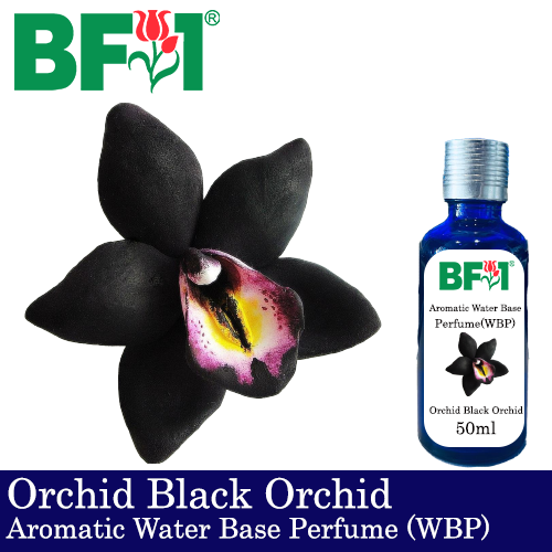 Aromatic Water Base Perfume (WBP) - Orchid Black Orchid - 50ml Diffuser Perfume