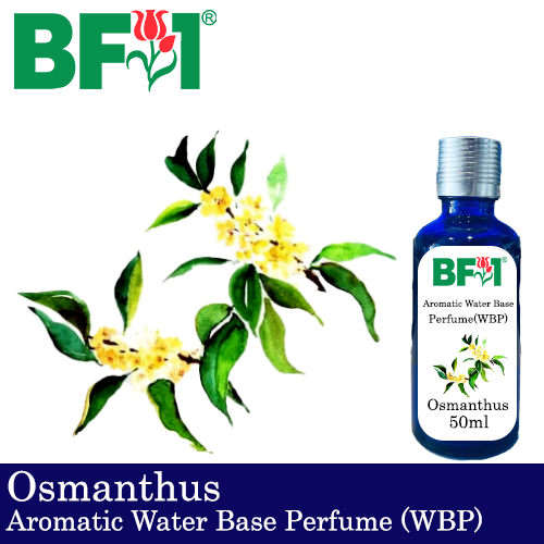 Aromatic Water Base Perfume (WBP) - Osmanthus - 50ml Diffuser Perfume