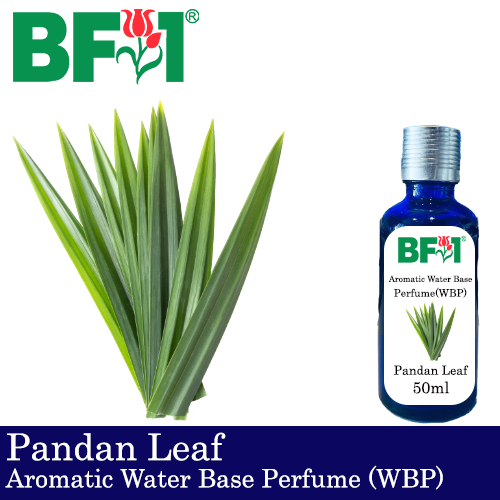 Aromatic Water Base Perfume (WBP) - Pandan Leaf - 50ml Diffuser Perfume