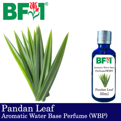Aromatic Water Base Perfume (WBP) - Pandan Leaf - 50ml Diffuser Perfume