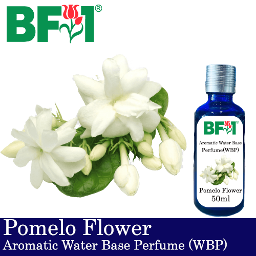 Aromatic Water Base Perfume (WBP) - Pomelo Flower - 50ml Diffuser Perfume