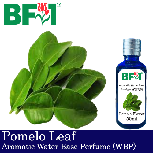 Aromatic Water Base Perfume (WBP) - Pomelo Leaf - 50ml Diffuser Perfume