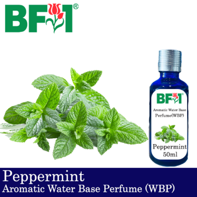 Aromatic Water Base Perfume (WBP) - Peppermint - 50ml Diffuser Perfume
