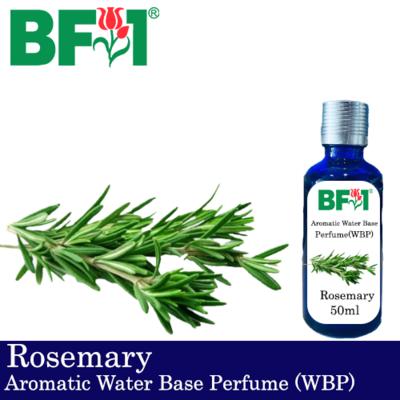 Aromatic Water Base Perfume (WBP) - Rosemary - 50ml Diffuser Perfume