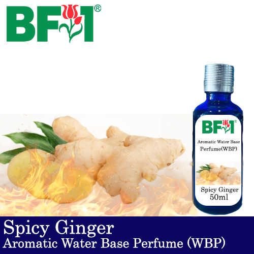 Aromatic Water Base Perfume (WBP) - Spicy Ginger - 50ml Diffuser Perfume