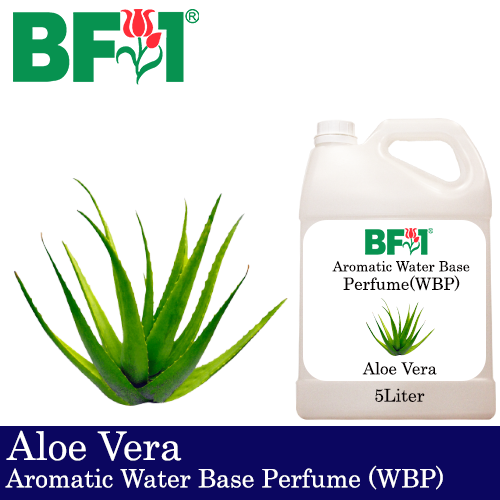 Aromatic Water Base Perfume (WBP) - Aloe Vera - 5L Diffuser Perfume
