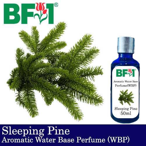 Aromatic Water Base Perfume (WBP) - Sleeping Pine - 50ml Diffuser Perfume