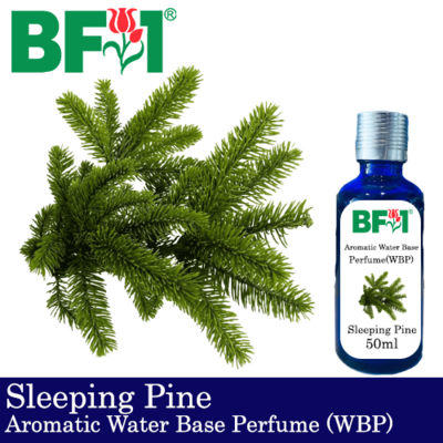 Aromatic Water Base Perfume (WBP) - Sleeping Pine - 50ml Diffuser Perfume