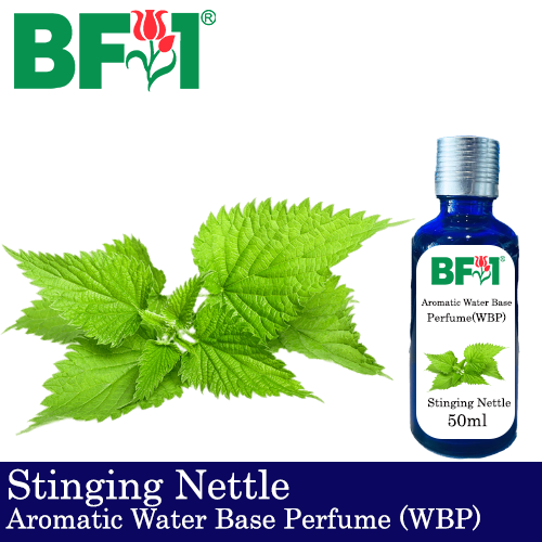 Aromatic Water Base Perfume (WBP) - Stinging Nettle - 50ml Diffuser Perfume