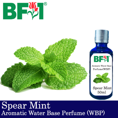 Aromatic Water Base Perfume (WBP) - Spear Mint - 50ml Diffuser Perfume