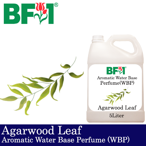 Aromatic Water Base Perfume (WBP) - Agarwood Leaf - 5L Diffuser Perfume