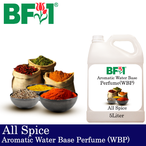 Aromatic Water Base Perfume (WBP) - All Spice - 5L Diffuser Perfume