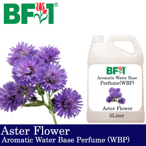 Aromatic Water Base Perfume (WBP) - Aster Flower - 5L Diffuser Perfume
