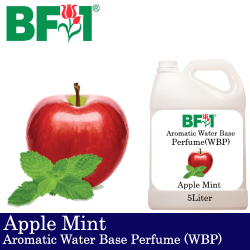 Aromatic Water Base Perfume (WBP) - Apple Mint - 5L Diffuser Perfume