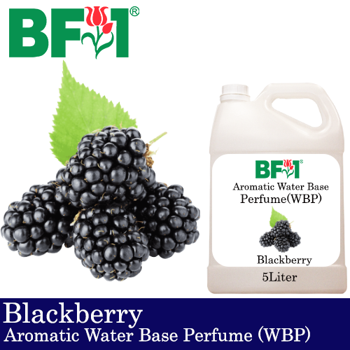 Aromatic Water Base Perfume (WBP) - Blackberry - 5L Diffuser Perfume