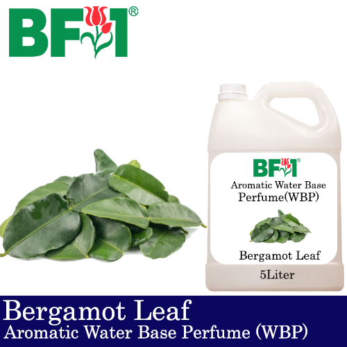 Aromatic Water Base Perfume (WBP) - Bergamot Leaf - 5L Diffuser Perfume