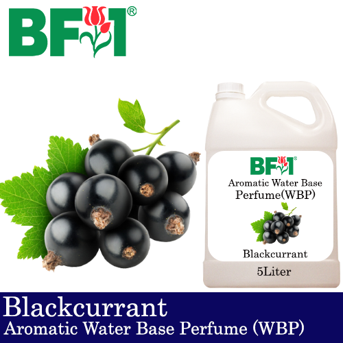 Aromatic Water Base Perfume (WBP) - Blackcurrant - 5L Diffuser Perfume