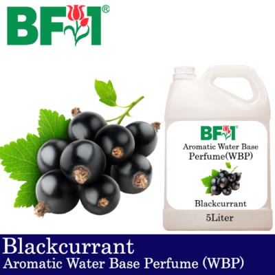 Aromatic Water Base Perfume (WBP) - Blackcurrant - 5L Diffuser Perfume