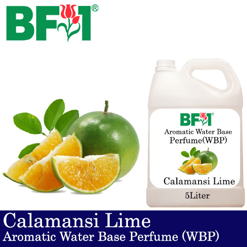 Aromatic Water Base Perfume (WBP) - Calamansi Lime - 5L Diffuser Perfume