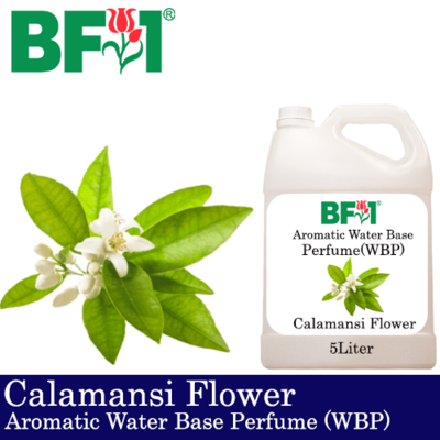 Aromatic Water Base Perfume (WBP) - Calamansi Flower - 5L Diffuser Perfume