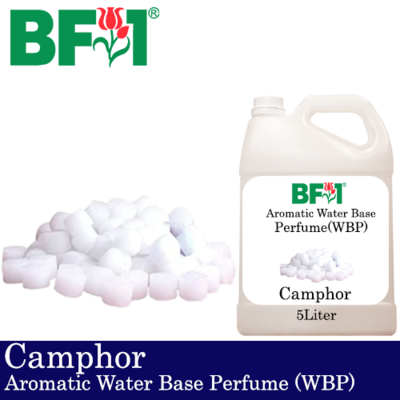 Aromatic Water Base Perfume (WBP) - Camphor - 5L Diffuser Perfume