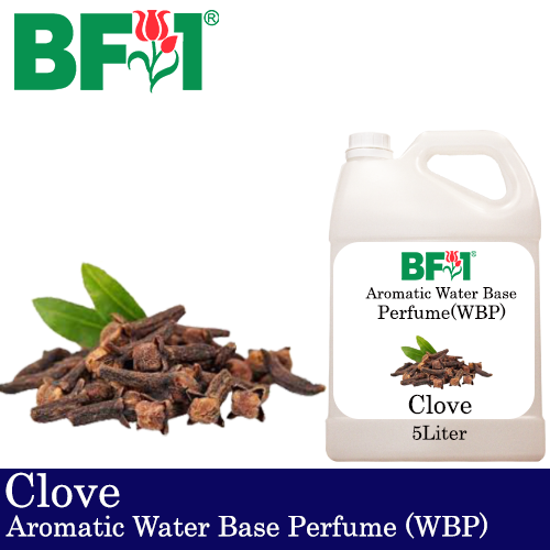 Aromatic Water Base Perfume (WBP) - Clove - 5L Diffuser Perfume