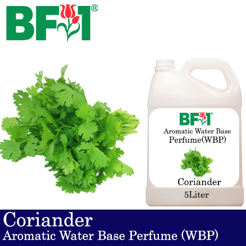 Aromatic Water Base Perfume (WBP) - Coriander - 5L Diffuser Perfume