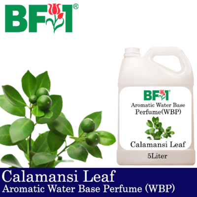 Aromatic Water Base Perfume (WBP) - Calamansi Leaf - 5L Diffuser Perfume