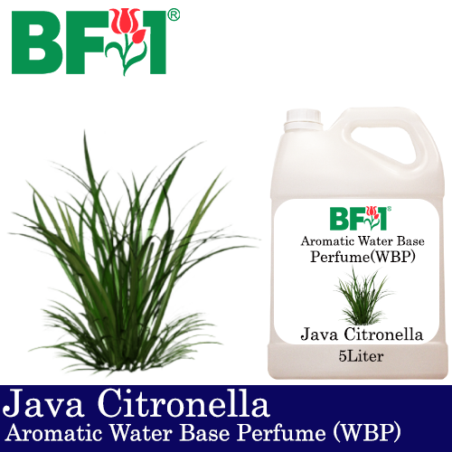 Aromatic Water Base Perfume (WBP) - Citronella Java Citronella - 5L Diffuser Perfume